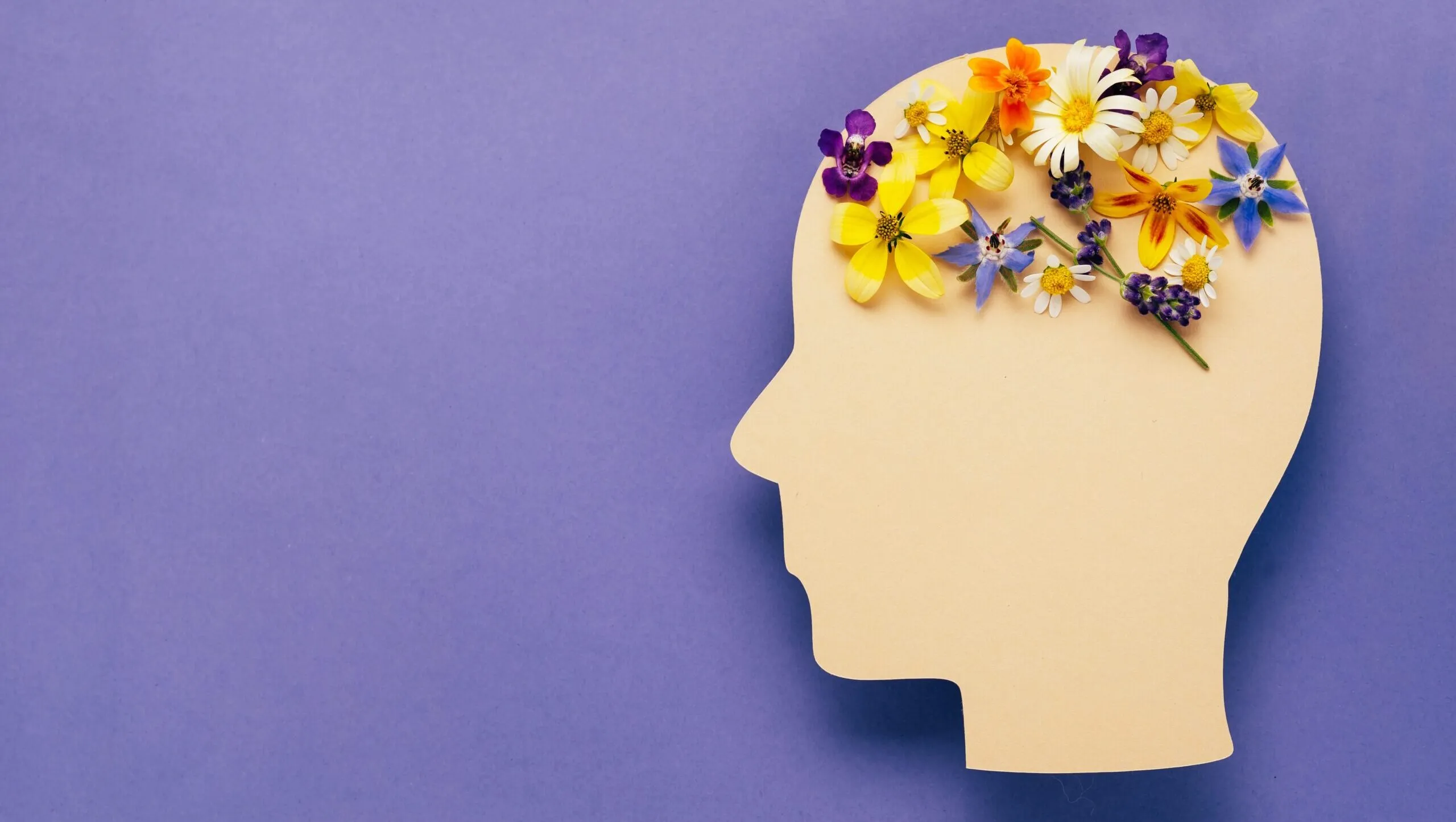 Curso de Inteligencia Emocional 1